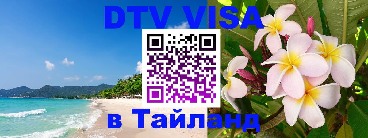 Сколько стоит DTV виза — актуальные цены, оформление даже без документов - 19.11.2025 